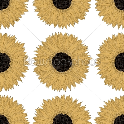 Sunflower pattern design
