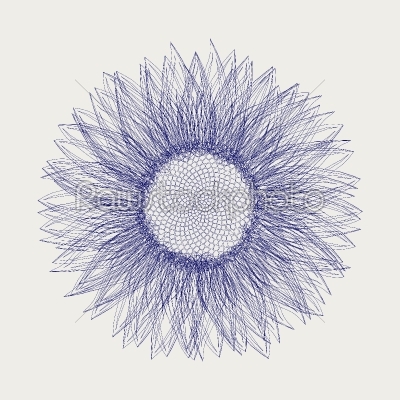 Sunflower sketch design