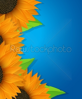 Sunflowers and leaves card 