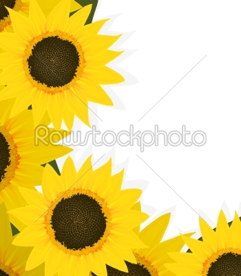 Sunflowers corner