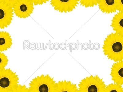 Thanksgiving card with sunflowers