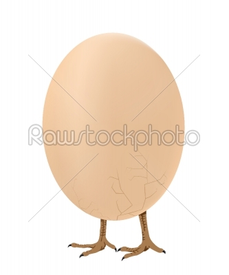 Walking egg