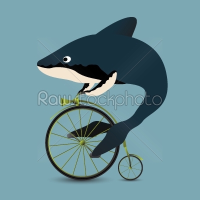 Whale on a bicycle