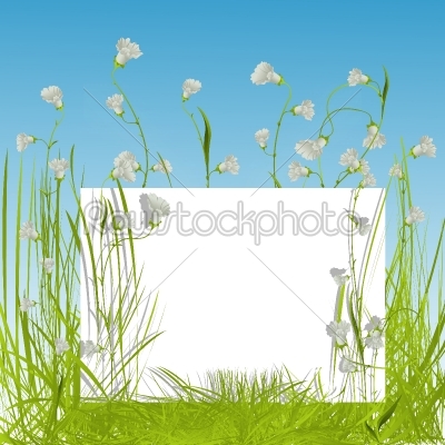 White sing in the grass