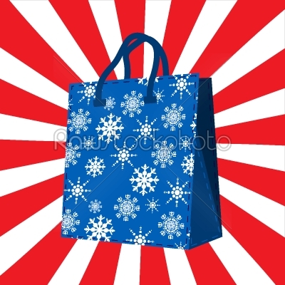 Winter sales shopping bag