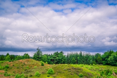 stock photo: cloudy weather over green trees-Raw Stock Photo ID: 69837