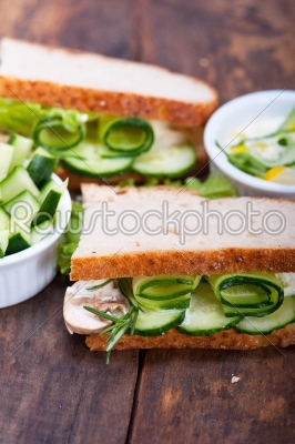 stock photo: fresh vegetarian sandwich with garlic cheese dip salad-Raw Stock Photo ID: 64661