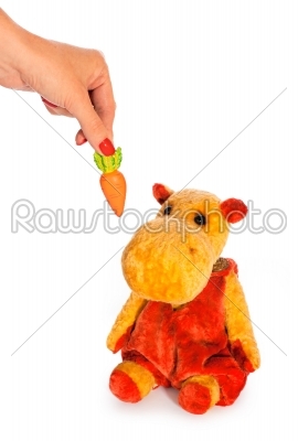 stock photo: isolated yellow hippo toy and hand with carrot-Raw Stock Photo ID: 68224