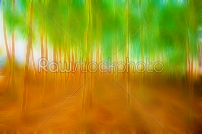 stock photo: landscape picture of forest not very dens and man made planted -Raw Stock Photo ID: 75370