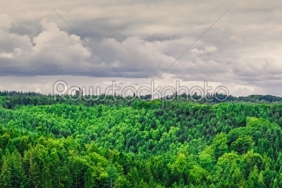 stock photo: panorama landscape from denmark-Raw Stock Photo ID: 69835