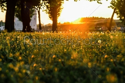 stock photo: park at beautiful sunset-Raw Stock Photo ID: 53939