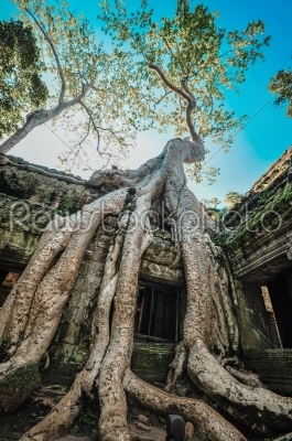 Ancient buddhist khmer temple in Angkor Wat complex, Siem Reap