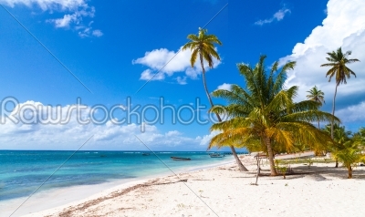 Beach in Saona Dominican Republic 