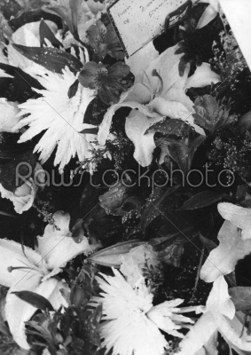 Black and White Flowers Texture