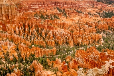 Bryce Canyon amphitheater valley