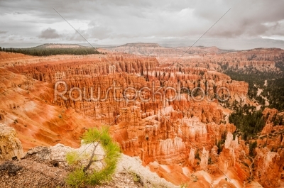 Bryce Canyon red amphitheater
