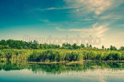 Calm river at summertime