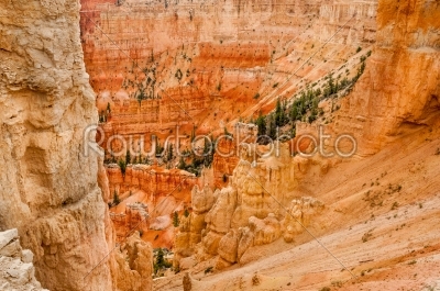 Canyon Bryce red rocks