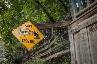Cat crossing sign in Jerome Arizona Ghost Town