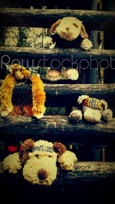 Collection of Cuddly Toys