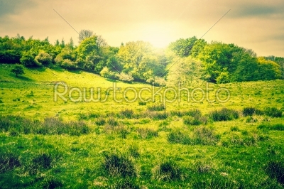 Countryside landscape with sunshine