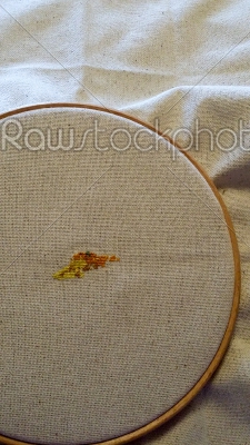 Cross Stitch with Hoop