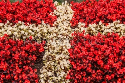 Denmark flag made out of flowers