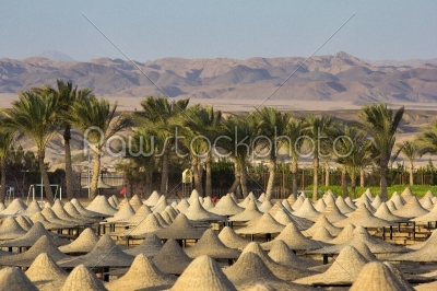desert in egypt in marsa alam