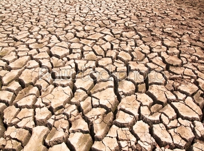Drought breaks ground fissures
