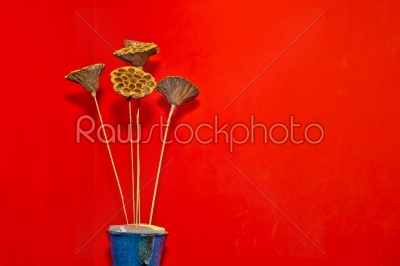 Dry floral decoration in vase to red wall