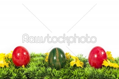 Easter - Easter eggs on grass