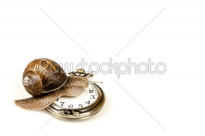 Escargot beating time