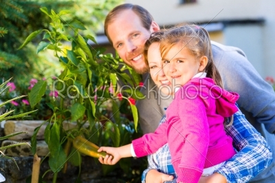 Family in garden harvesting bell pepper