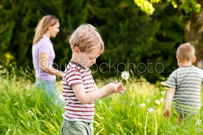 Family summer - blowing dandelion seeds