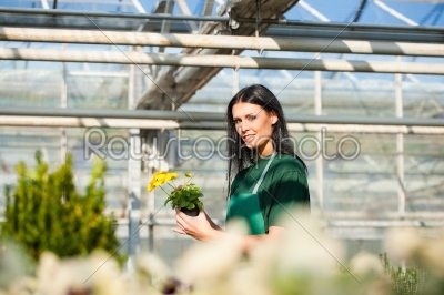 Female gardener in market garden or nursery