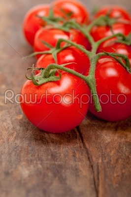 fresh cherry tomatoes on a cluster