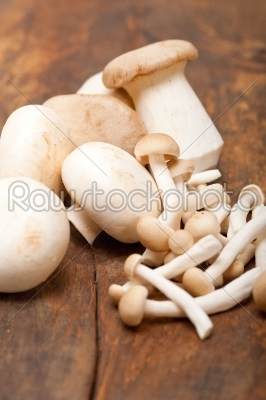fresh wild mushrooms