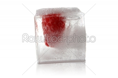 fruit in ice cube