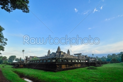 Giant tree covering Ta Prom and Angkor Wat temple, Siem Reap