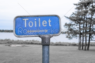 Grunge toilet sign in blue color