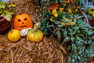 Halloween pumpkin decoration at autumn