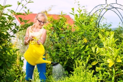 Happy child watering flowers in the garden