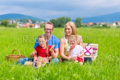 Happy family having picnic in meadow