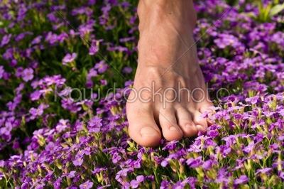 Healthy feet - feet and flowers