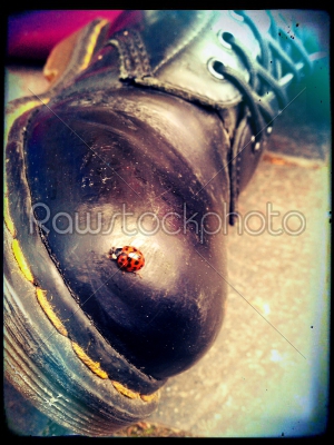 Ladybird on a Boot