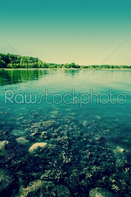 Lake scenery with seaweed