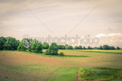 Landscape in the country with trees
