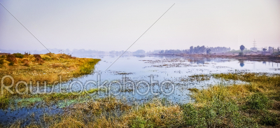 Landscape picture of wetland ground and water with grass and pla