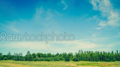 Landscape with green trees and blue sky in the summertime