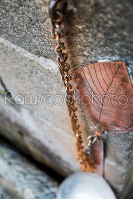 Leaf On A Chain